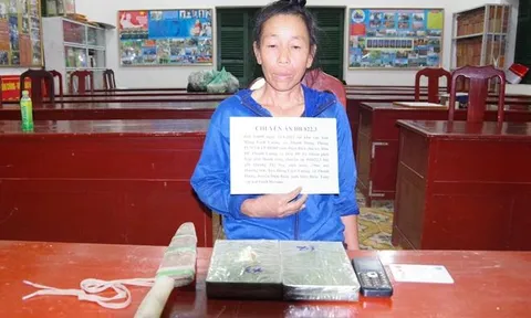Điện Biên: Bắt 'nữ quái' vận chuyển 2 bánh heroin để lấy 10 triệu đồng