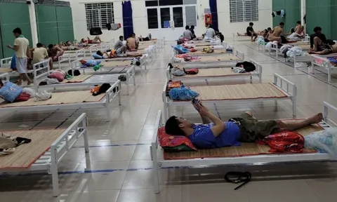 Vụ 40 người Việt chạy khỏi sòng bạc ở Campuchia: Mức án nào cho những kẻ môi giới vượt biên?