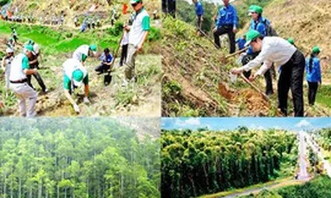 Chỉ đạo điều hành của Chính phủ, Thủ tướng Chính phủ ngày 9/9