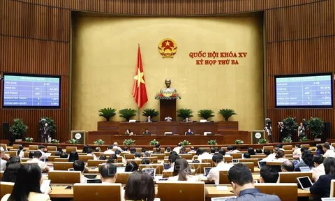 Tăng cường công tác xây dựng pháp luật, hoàn thiện các dự án Luật trình Quốc hội