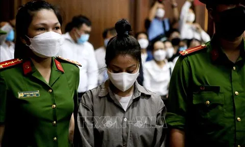 TP Hồ Chí Minh: Hoàn tất kết luận điều tra bổ sung vụ án bạo hành bé gái đến chết
