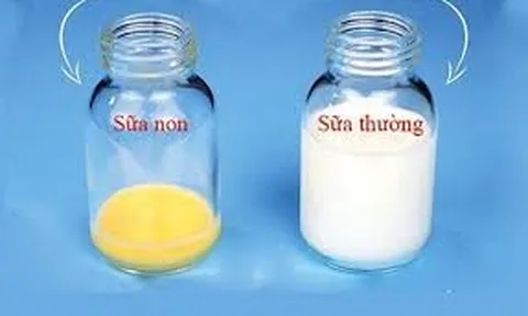 Sữa non Colustrum Canxi Nano Curcumin Nấm Lim Xanh: Giải pháp tăng cường sức đề kháng, nâng cao khả năng miễn dịch