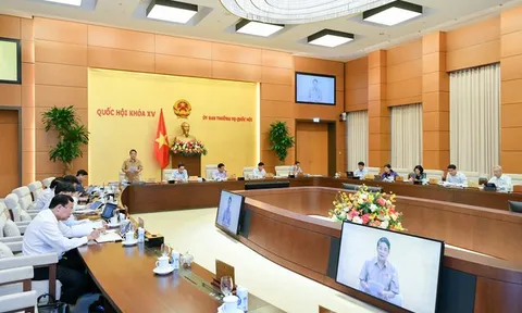 Kịp thời khắc phục hạn chế, bất cập của Luật Đấu thầu hiện hành
