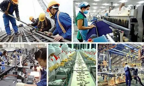 Đề nghị xây dựng Luật Việc làm (sửa đổi)