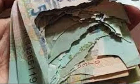 Xấp tiền bị chuột cắn rách, có được mang ra ngân hàng đổi?