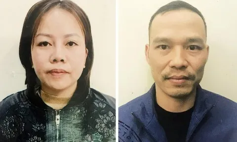 Triệt phá đường dây mang thai hộ giá 700 triệu đồng tại Hà Nội