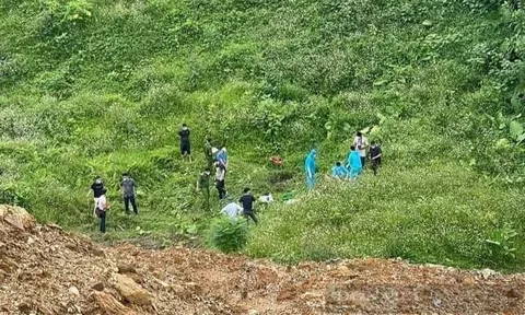 Đi câu cá, phát hiện thi thể đang phân hủy giáp vệ đường ở Yên Bái