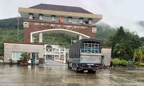 Thủ tướng Chính phủ ra Công điện về việc chấn chỉnh, xử lý các hành vi tiêu cực liên quan hoạt động xuất, nhập khẩu