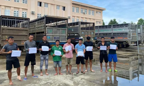 Tạm giữ nhóm đối tượng chuyên đánh tráo heo thịt để trục lợi ở Bình Dương