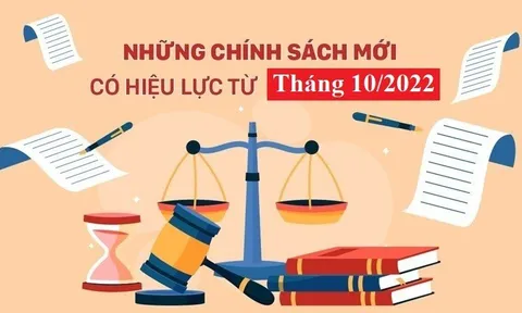 Những chính sách mới nổi bật có hiệu lực từ tháng 10/2022