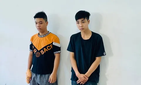 Bắt 2 kẻ giật điện thoại của du khách nước ngoài ở TP.HCM