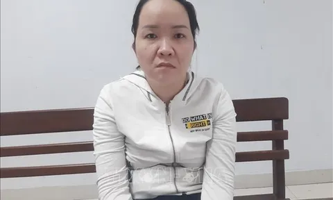 Khởi tố nữ kế toán tham ô tài sản tại Trường Mầm non Hoa Ngọc Lan