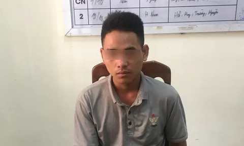 Bắt giữ nghi phạm sát hại mẹ vợ vì mâu thuẫn việc góp tiền nuôi con