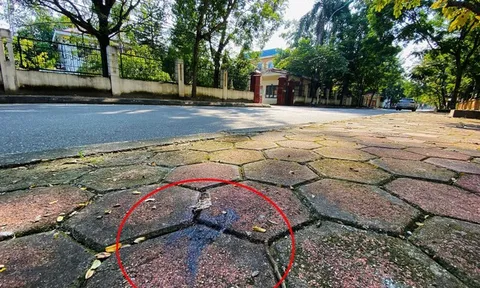 Hà Nội: Truy tố 2 bố con đánh chết người trước cổng trụ sở VKSND huyện Phúc Thọ