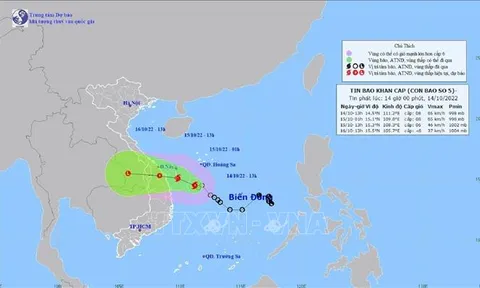 Áp thấp nhiệt đới mạnh lên thành bão SONCA