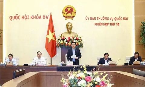 Kết luận của Ủy ban Thường vụ Quốc hội về dự thảo Nghị quyết thí điểm cấp quyền lựa chọn sử dụng biển số ô tô thông qua đấu giá