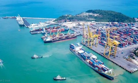 Xây dựng chính sách hỗ trợ DN vận tải biển chuyển đổi hoàn toàn sang năng lượng xanh
