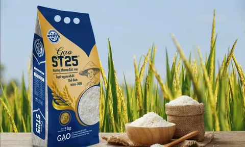 Gạo lúa tôm ST25 AGH tinh tuý ‘hương thơm đất mẹ’