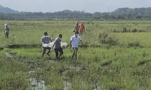Phát hiện thi thể người đàn ông giữa cánh đồng ở TP.Bà Rịa