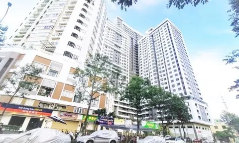 Bắt tạm giam Phó Tổng Giám đốc Công ty Nhà Đà Nẵng