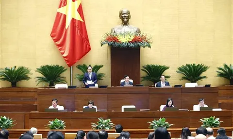 Ngày 25/10, Quốc hội tiếp tục thảo luận tại hội trường về các dự án luật