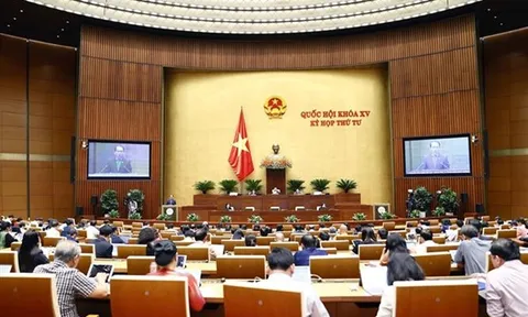 Thủ trưởng cơ quan quản lý Nhà nước có trách nhiệm tổ chức, chỉ đạo hoạt động thanh tra
