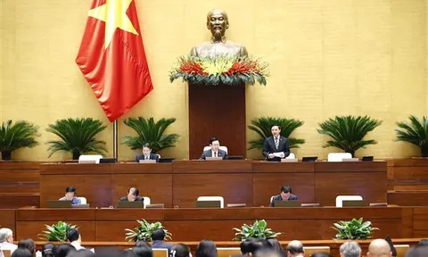 Cần thiết có hình thức thanh tra đặc biệt để xử lý ngay khi phát hiện sai phạm