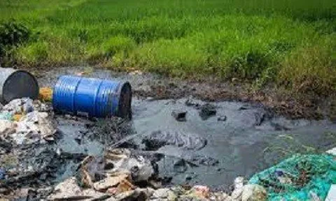 Vai trò của Hội Luật gia Việt Nam trong công tác bảo vệ môi trường