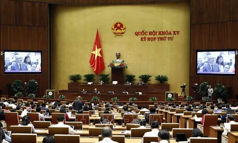 Cử tri TP Hồ Chí Minh kiến nghị tăng cường thanh tra, kiểm toán để chống lãng phí