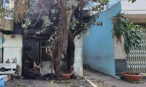 Tạm giữ hình sự đối tượng phóng hỏa đốt nhà làm 2 mẹ con tử vong