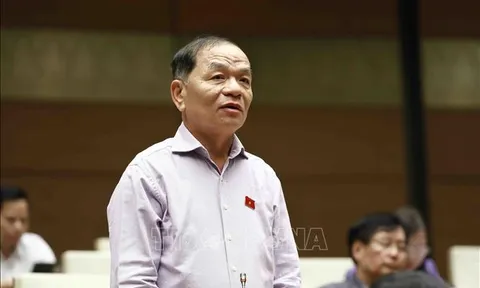 Xây dựng chính sách phù hợp, thu hút, trọng dụng nhân tài