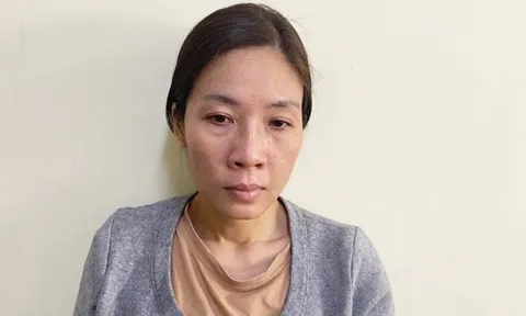 Hà Nội: Nữ giúp việc phá két sắt, trộm hơn 2 tỷ đồng của chủ nhà