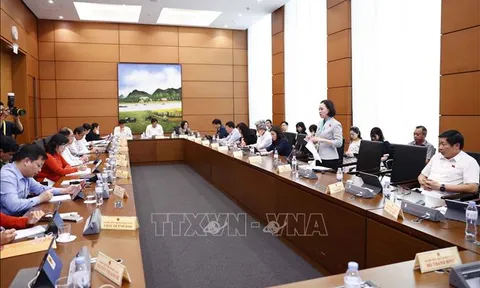 Đề xuất có chương riêng về đấu thầu y tế trong sửa đổi Luật Đấu thầu