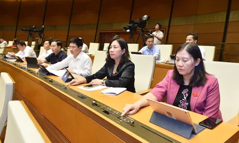 Thông qua Luật Thanh tra (sửa đổi): Được thành lập Tổng cục, Cục thuộc bộ