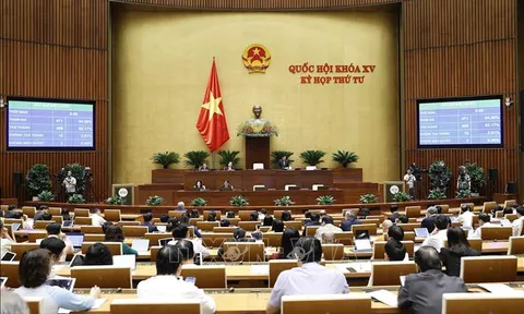 Thông cáo báo chí số 20, Kỳ họp thứ 4, Quốc hội khóa XV