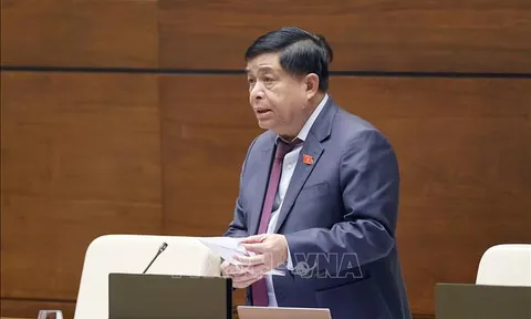 Hài hòa quyền lợi giữa Nhà nước và chủ đầu tư trong hoạt động đấu thầu