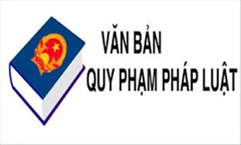 Rà soát, bãi bỏ văn bản quy phạm pháp luật thuộc thẩm quyền của Thủ tướng Chính phủ