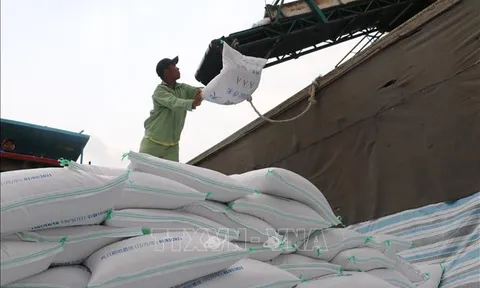 Đề xuất sửa đổi Nghị định 107/2018/NĐ-CP về kinh doanh xuất khẩu gạo