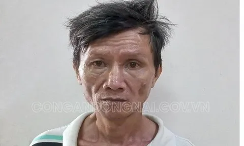 Bắt khẩn cấp nghi phạm dùng gậy đánh chết mẹ ruột ở Đồng Nai