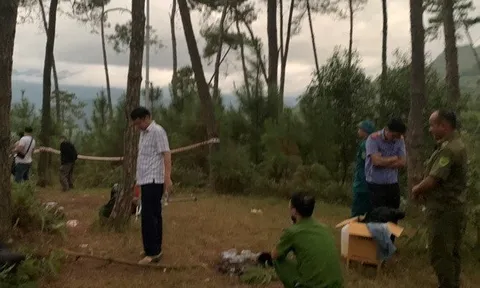 Khởi tố, bắt tạm giam nữ giáo viên mầm non giết người tình trên đồi thông