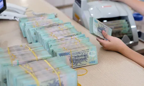 Đề xuất sửa quy định về mạng lưới của tổ chức tín dụng phi ngân hàng