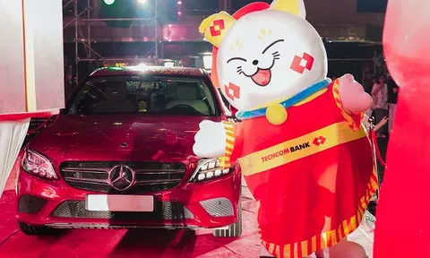 Cơn sốt 'mèo đại cát' với các siêu giải thưởng