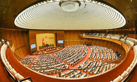 Tăng cường thanh tra, kiểm toán các lĩnh vực đầu tư, tài chính, đất đai
