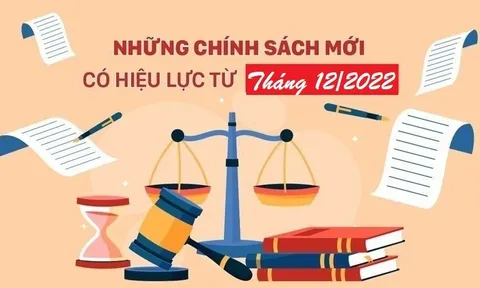 Những chính sách mới nổi bật có hiệu lực từ tháng 12/2022