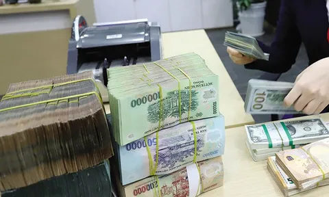 Xây dựng Nghị định quy định chi tiết một số điều của Luật Phòng, chống rửa tiền