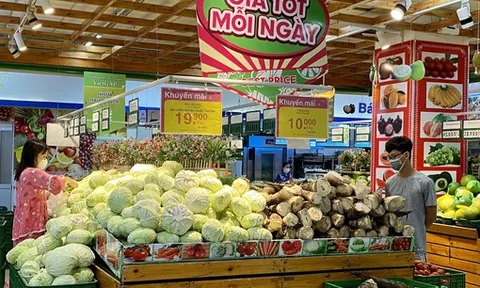 Nghị quyết phiên họp Chính phủ thường kỳ tháng 11/2022