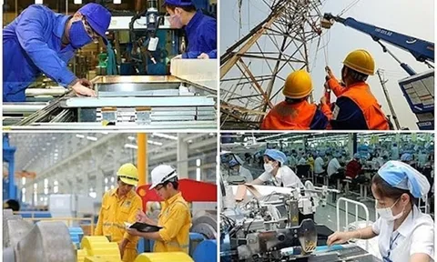 Sửa quy định về tổ chức và hoạt động của BCĐ Đổi mới và Phát triển doanh nghiệp