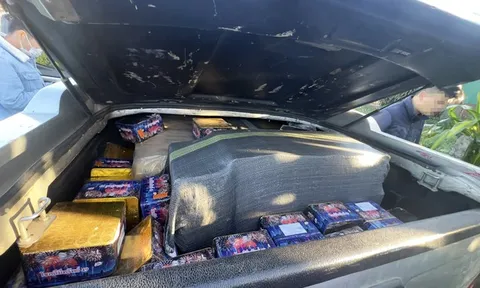 Lâm Đồng: Bắt tạm giam 2 đối tượng tàng trữ, vận chuyển gần 700kg pháo nổ