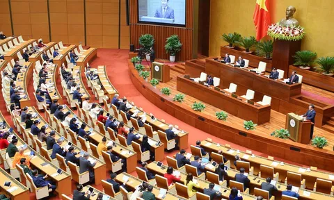 Xem xét, phê chuẩn miễn nhiệm, bổ nhiệm một số thành viên Chính phủ