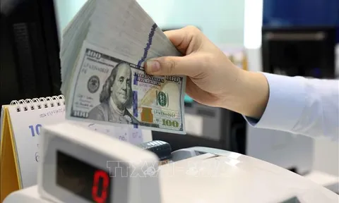 Hướng dẫn thanh toán, chuyển tiền một chiều từ Việt Nam ra nước ngoài